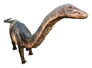 Apatosaurus is a genus of herbivorous sauropod dinosaur that lived during the Late Jurassic period....