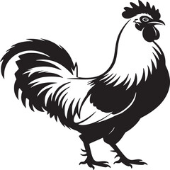 Illustration of a black and white rooster with detailed feathers and a prominent comb on a white background