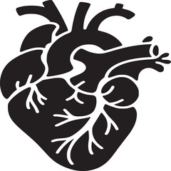 Anatomical heart illustration in black and white showing veins and arteries in detailed silhouette style