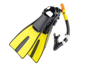 Snorkeling gear with fins and snorkel equipment.