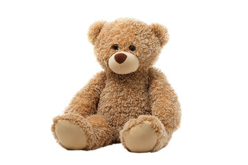 Obraz premium Plush Teddy Bear Toy