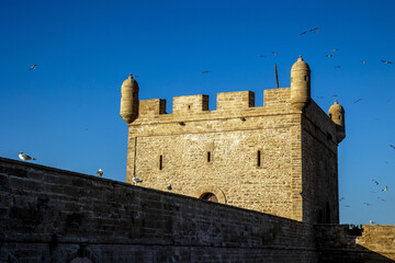 Harbour sqala tower, Essaouira, Morocco