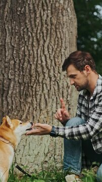 young man in plaid shirt playing training petting hugging and kissing his dog during summer park walk happy loving companionship concept lifestyle

