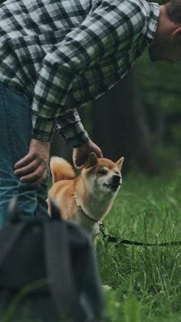 young man in plaid shirt playing training petting hugging and kissing his dog during summer park walk happy loving companionship concept lifestyle
