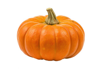 Perfect Pumpkin