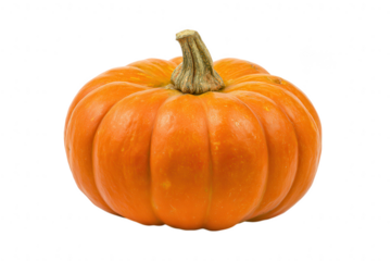 Perfect Pumpkin