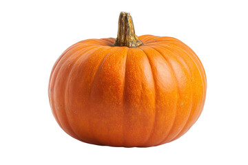 Obraz premium Perfect Pumpkin