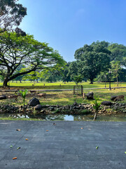 A tranquil park with lush green trees, a clear blue sky, and a small water body with rocks. A person sits by the water, enjoying the peaceful natural environment.