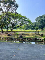 A tranquil park with lush green trees, a clear blue sky, and a small water body with rocks. A person sits by the water, enjoying the peaceful natural environment.