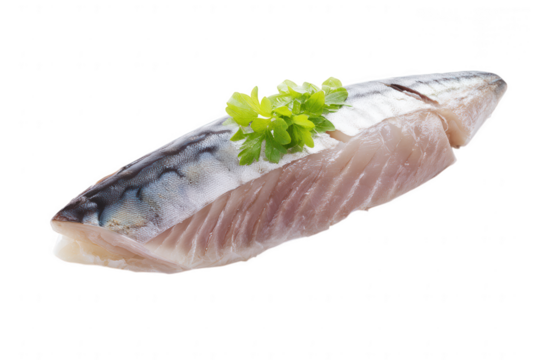 Fresh Mackerel Fillet