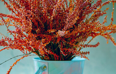 Bouquet of dried flowers in a vase close-up bokeh