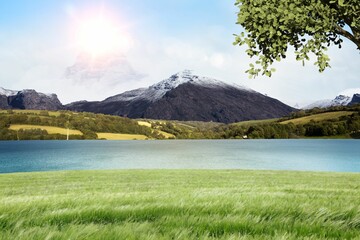 Obraz premium Flat design is showing snow-capped mountain rising over green field, blue lake, sunlit tree branch
