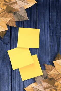 Fototapeta Autumn leaves with yellow note