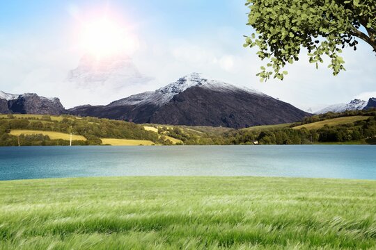 Fototapeta Flat design is showing snow-capped mountain rising over green field, blue lake, sunlit tree branch