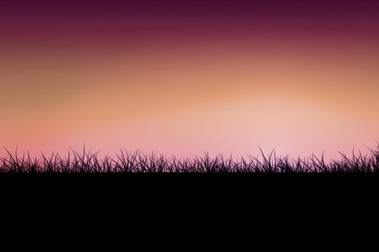 Fototapeta Silhouetted grass blades are stretching across purple to orange gradient sky in flat design
