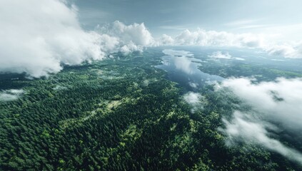 Fototapeta premium Aerial view of a vast, verdant forest interspersed with a meandering lake, partially obscured by a layer of fluffy white clouds under a bright, slightly hazy sky