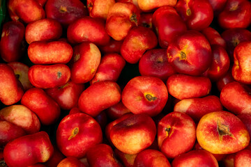 Vibrant display of red fruits glistening under sunlight at a bustling farmer's market in autumn
