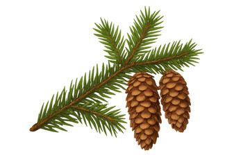 Fototapeta premium Spruce branch detailing green needles, hanging pine cones, transparent isolated background for holiday graphic design