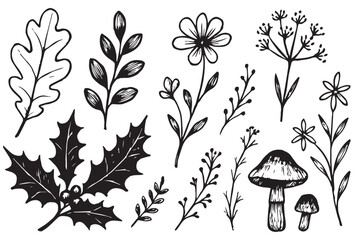 various plants, including oak leaves, mushrooms, and flowers, in a whimsical botanical style