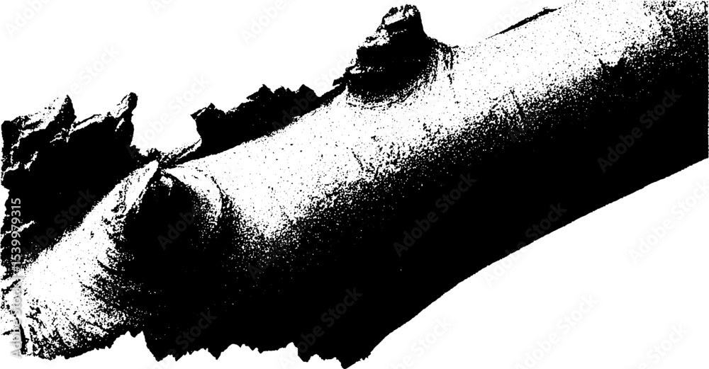 Poster high contrast black and white cork bark fragment for nature and design concepts
