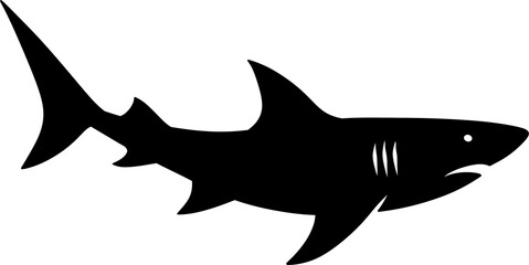 shark vector illustration