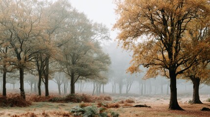 Serene autumn forest scene with falling leaves, soft mist, warm tones, natural wilderness, eyelevel shot, wide composition, copy space on right