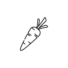 Obraz premium carrot