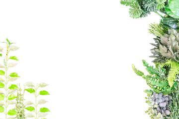 Green leaves isolated on white background with copy space for your text.