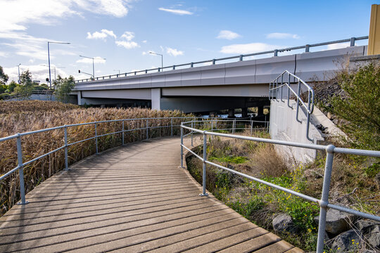 A boardwalk curves through native wetland vegetation and passes beneath an overpass in suburban Australia. Guardrails line the pedestrian path. Integration of urban infrastructure and preservation