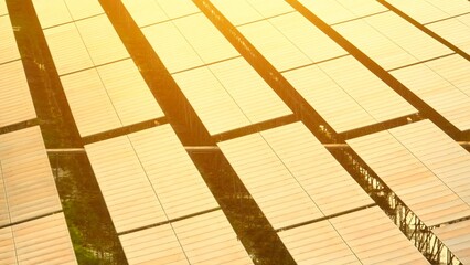Bird’s eye view of solar arrays bathed in golden light, illustrating clean energy technology and...