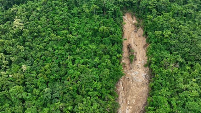 Drone shot revealing a recent landslide on a lush hillside, highlighting the link between climate change-driven heavy precipitation and increased frequency of destructive soil movements. Thailand.
