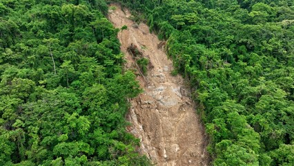 Bird’s eye view of a landslide scar in dense forest, showing the environmental impact of climate...