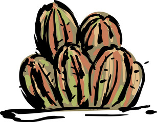 Desert  Cactus  hand drawn  tropical illustration Element