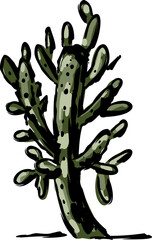 Desert  Cactus  hand drawn  tropical illustration Element