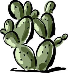 Desert  Cactus  hand drawn  tropical illustration Element