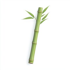 Obraz premium Single Green Bamboo Stalk with Leaves on White Background