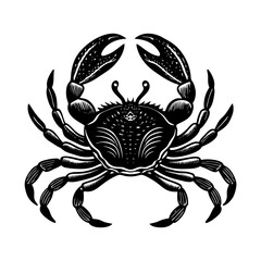 Detailed crab illustration vector, seafood animal drawing, crustacean marine life design element
