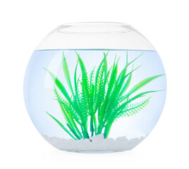 Glass aquarium with clear water, fake plant and rocks isolated on white
