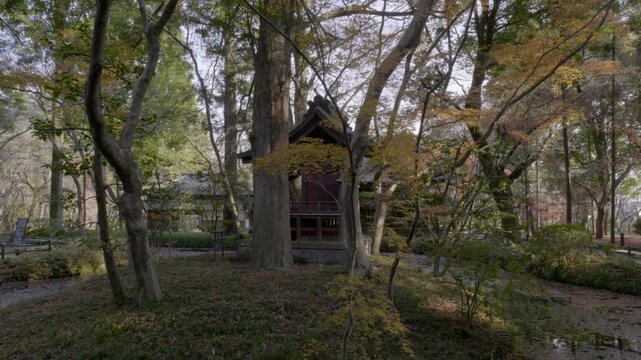 A small island within a temple in Tokyo houses a small Shinto pagoda for the prayers of believers who come there.