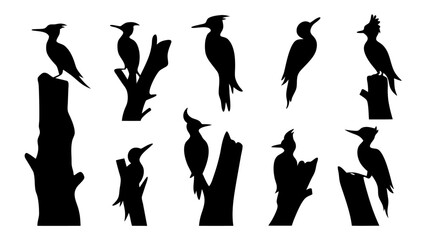 Set of woodpecker silhouette