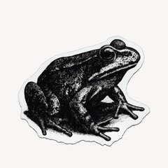 Naklejka premium Vintage frog illustration sticker