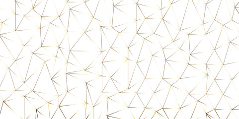  Abstract of simple gold line triangle pattern geometric background .white background creative and geometric shape with white luxury pattern .gold and white geometric background with low poly triangle