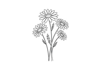 Obraz premium Daisies drawing. It is a black and white outline image of a cluster of daisies, multiple blooms with radiating petals, textured centers, and slender stems with leaves. Vector sketch line art draw.