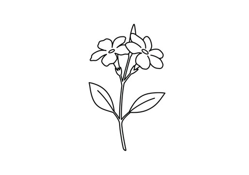 Chembarathi flower drawing. It is a black and white outline image of a branch with two chembarathi flowers (hibiscus) and a bud, their simple petals, stems, and leaves. Vector sketch line art draw.