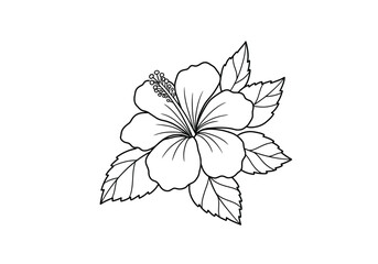 Hawaii flower drawing. It is a black and white outline image of a single hibiscus flower, its broad petals, prominent stamen, and a cluster of surrounding leaves. Vector sketch line art draw.