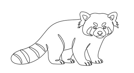 Fototapeta premium Line drawing of a red panda, standing, facing forward, bushy tail.
