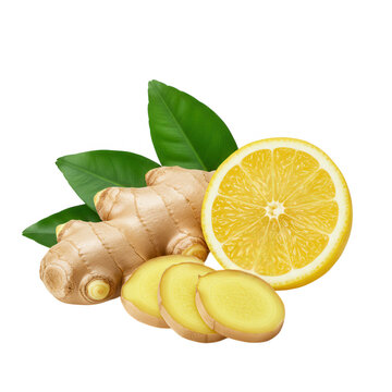 Fresh ginger root lemon slices and leaves isolated on transparent background