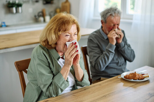 A senior couple  is sitting at a table with a tissue in his hand. He is wiping his nose and he is in a state of discomfort