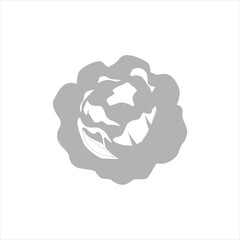 cabbage icon on white background, vector illustration