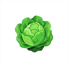 cabbage icon on white background, vector illustration